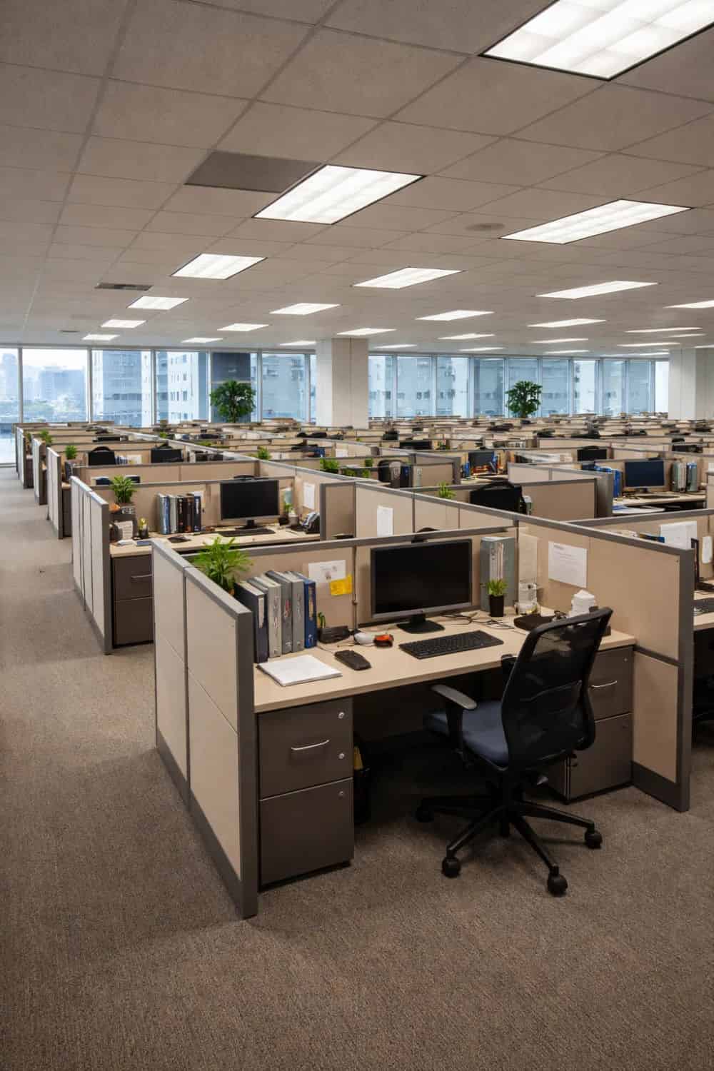 Commercial Cleaning image